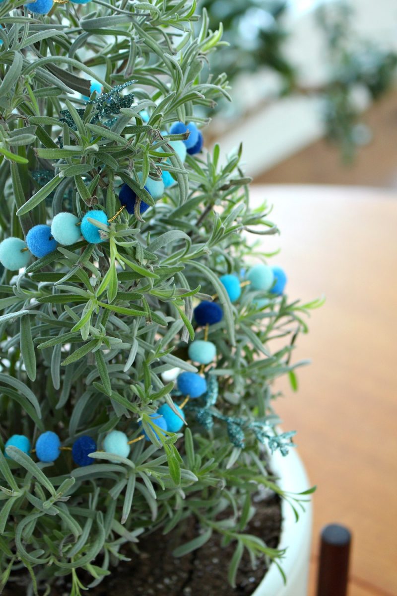 DIY Mini Pom Pom Garland for My Lavender Plant