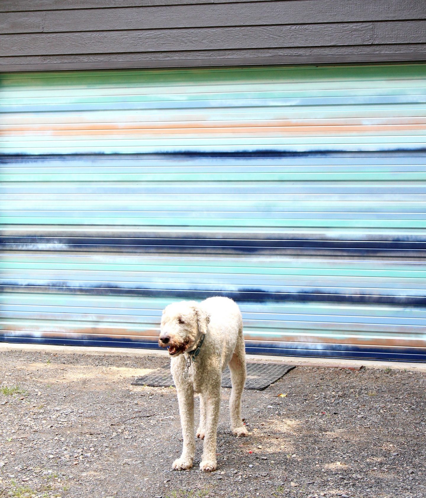 Garage Makeover: DIY Mural with Coastal Vibes