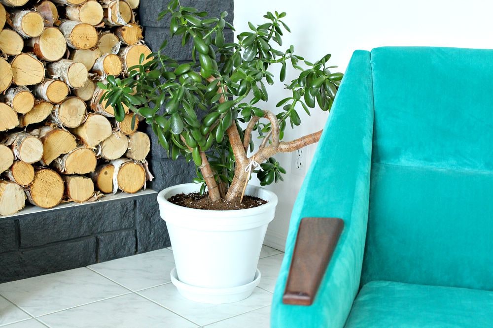 HOW TO PAINT A TERRACOTTA PLANTER