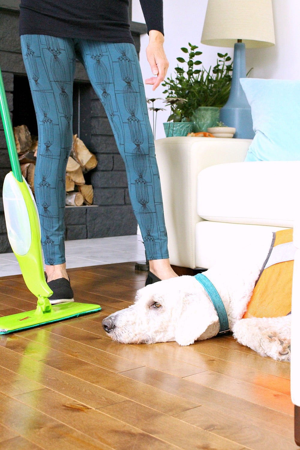 KEEP HOUSE CLEAN WITH DOGS