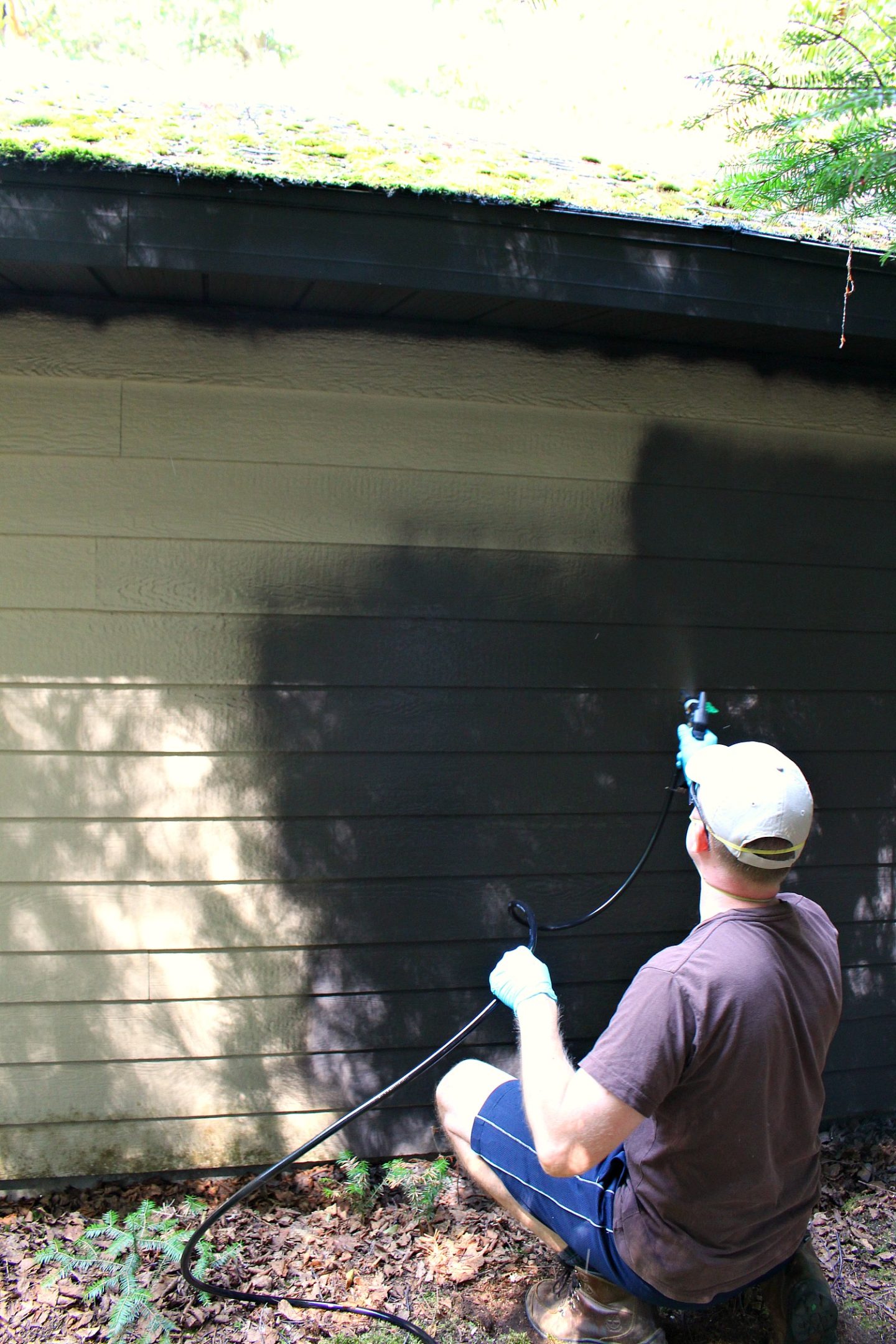 TIPS FOR PAINTING SIDING