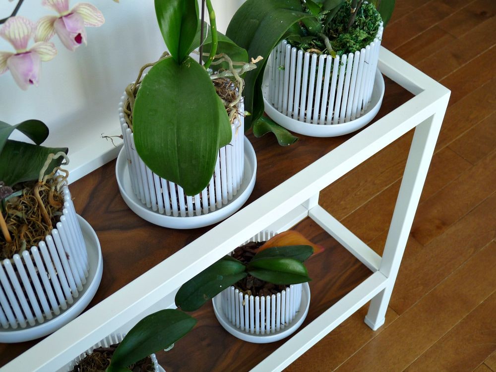 HACK FOR PLANT STAND WITH BROKEN GLASS
