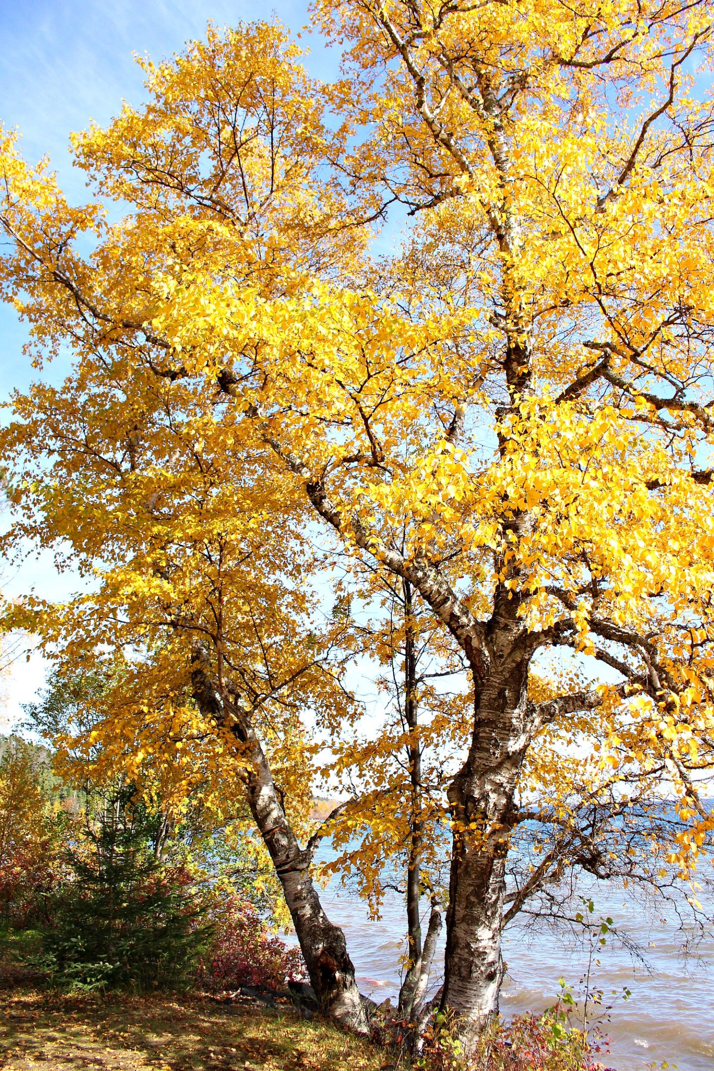 Lake Superior North Shore Fall Drive | Trying to Hate Fall Less