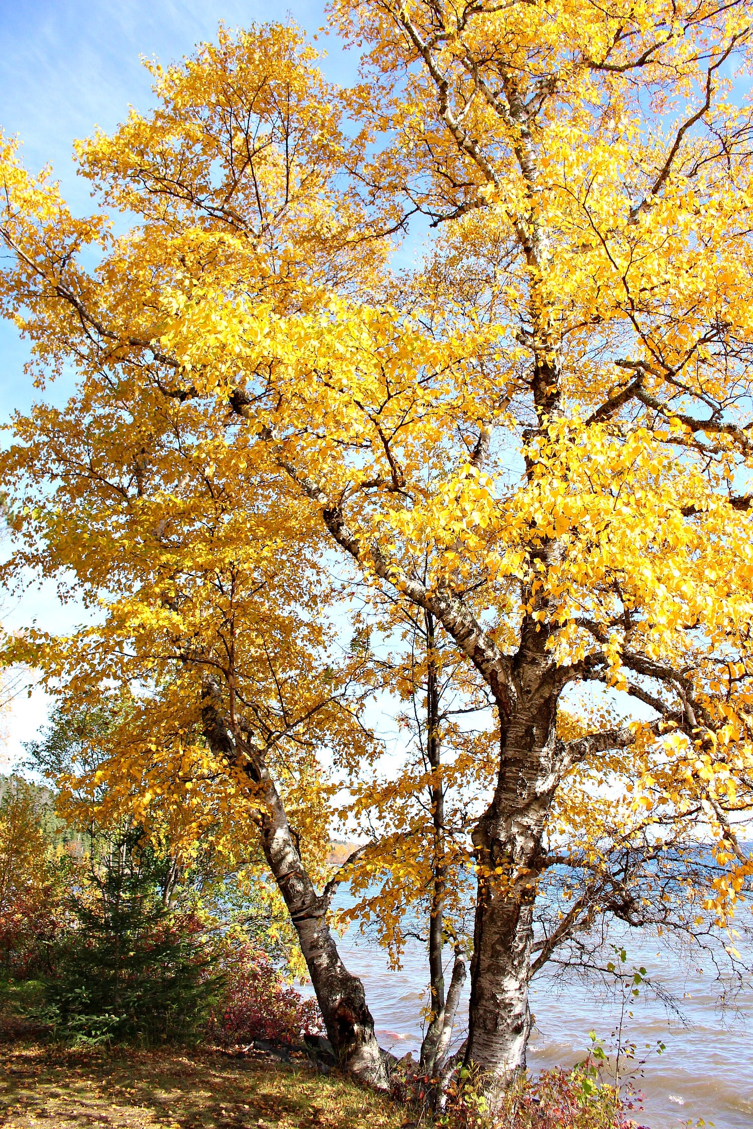 Lake Superior North Shore Fall Drive | Trying to Hate Fall Less