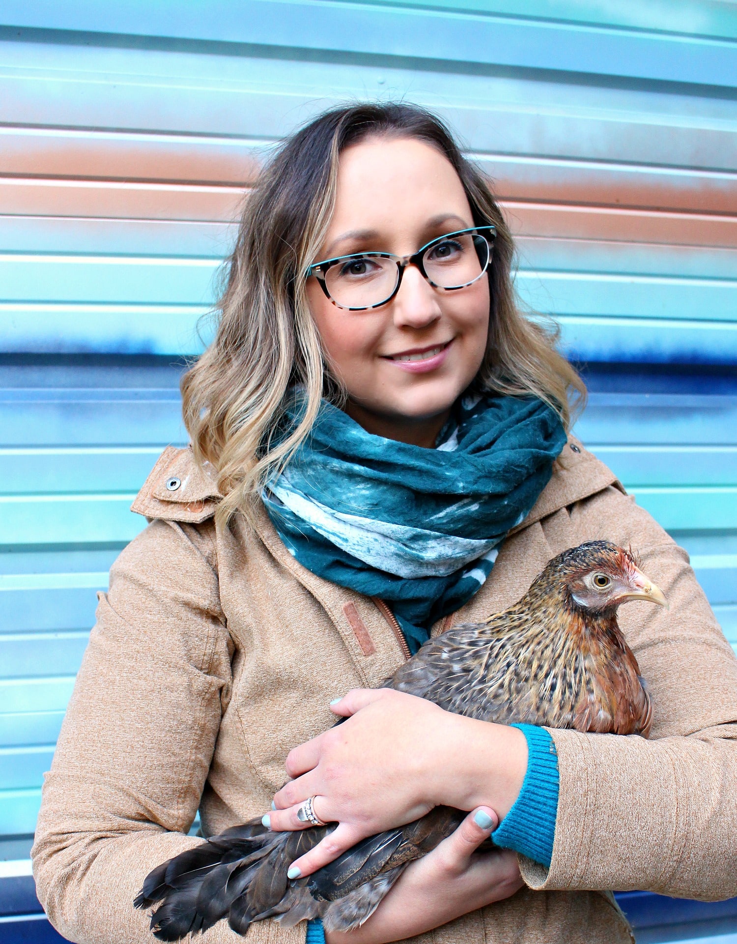The New Hens Passed the Quarantine Period – Except One