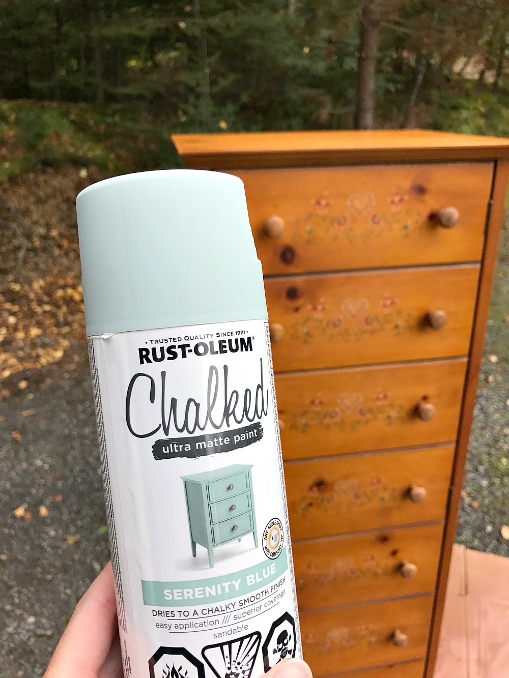 DIY Chalk Paint Cabinet Makeover | Before and After