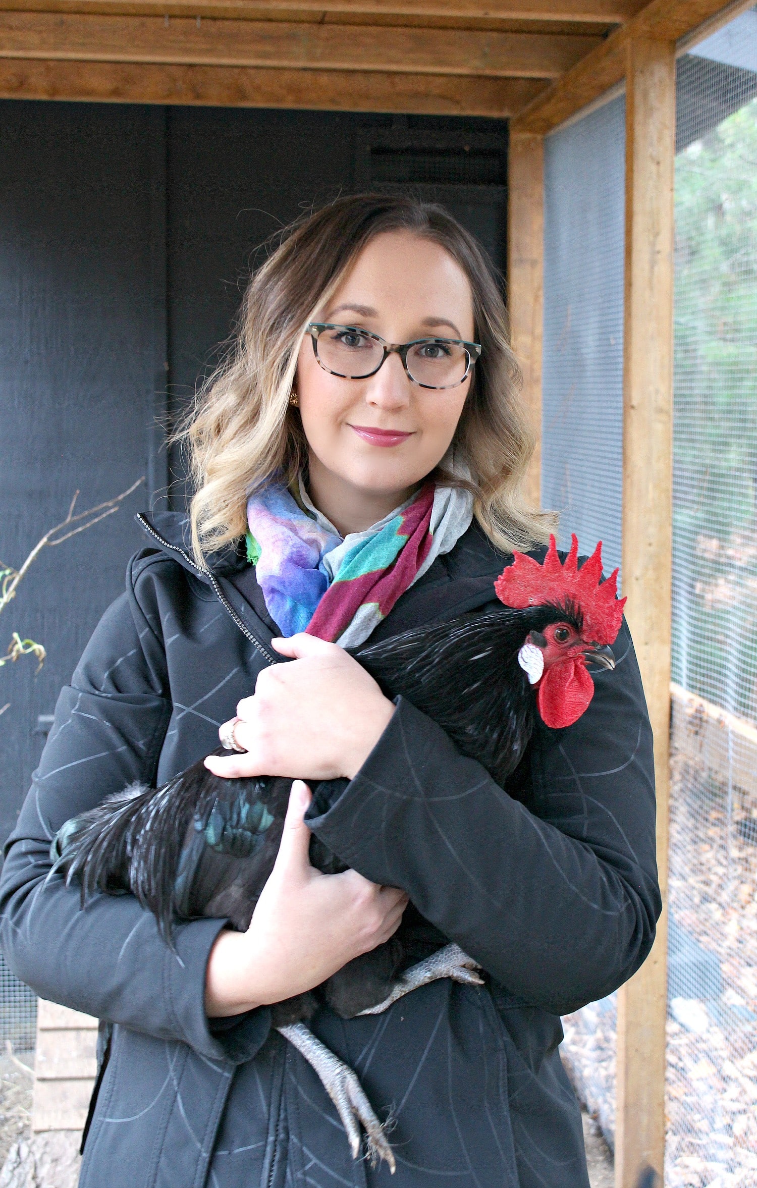 Pewter’s Fate | The Problem with Roosters
