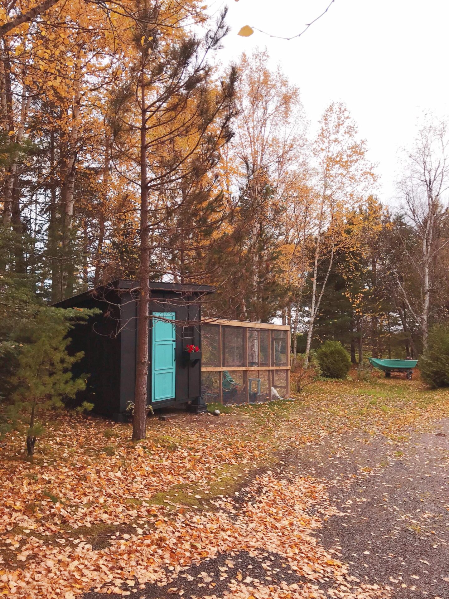 Modern DIY Chicken Coop | Chicken Coop and Run Built on a Hill