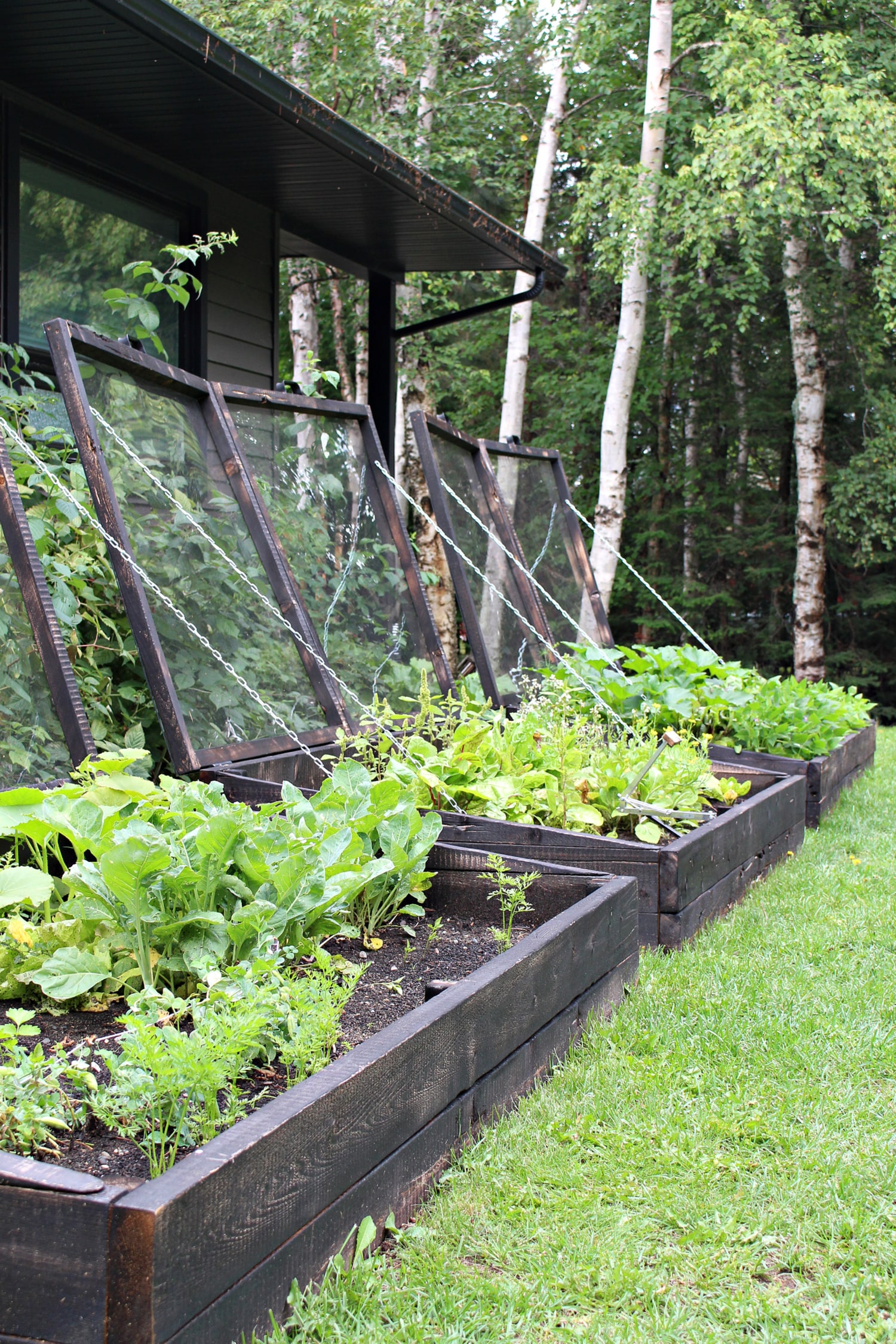 Cold Frame Garden Bed Update – Year One
