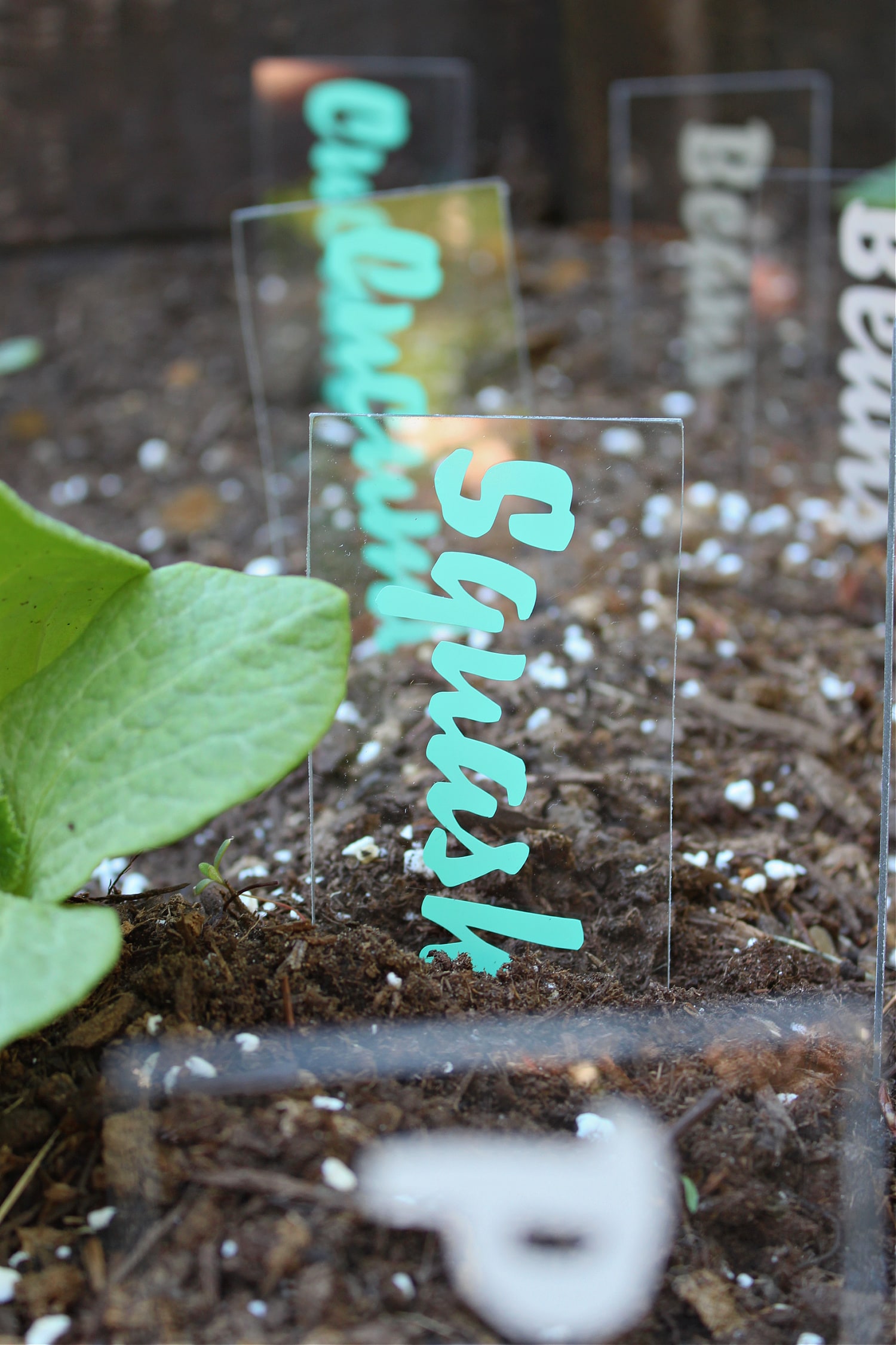 DIY Cricut Garden Markers