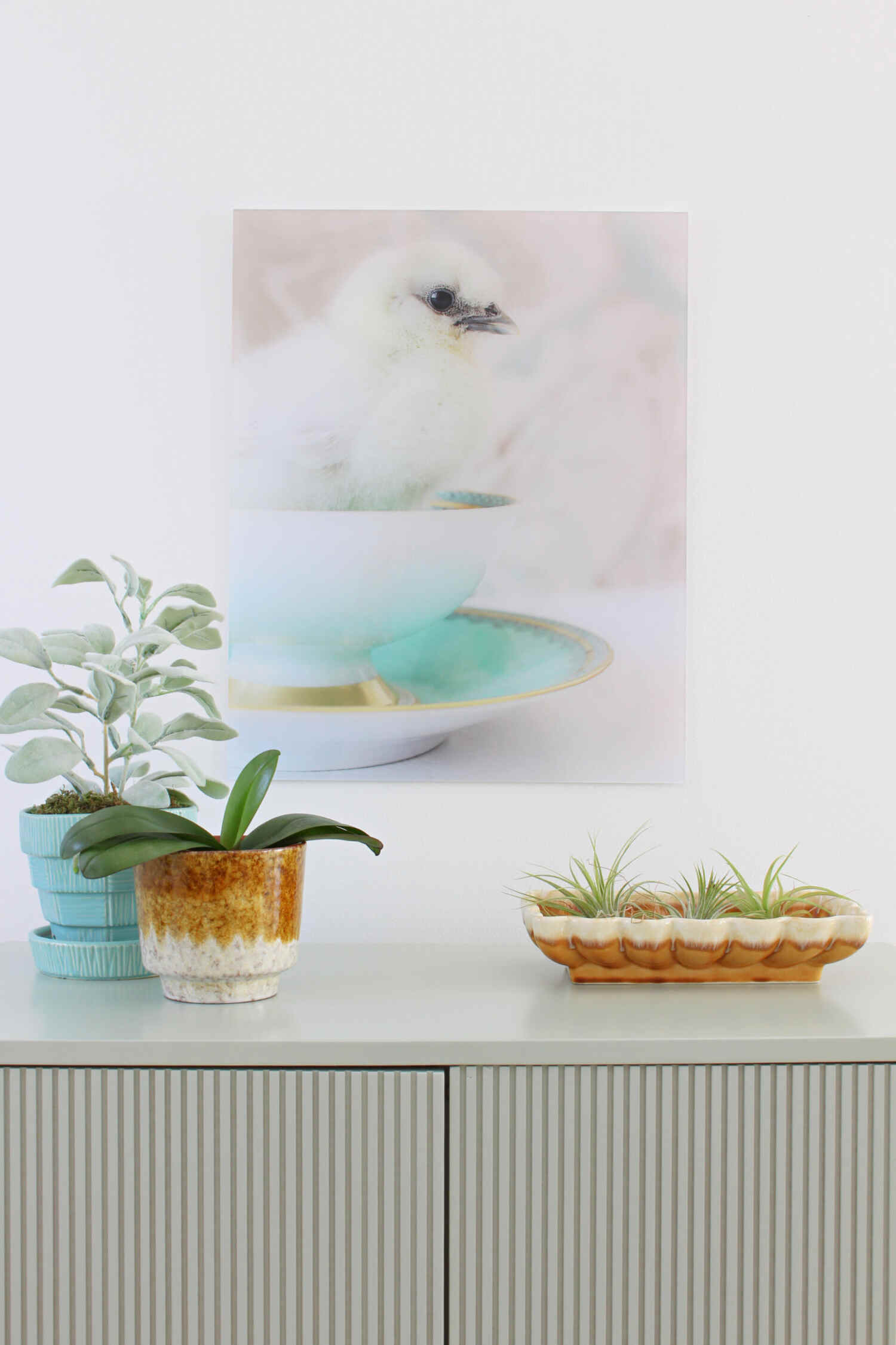 Turning My Chick Photos into Art with BestCanvas