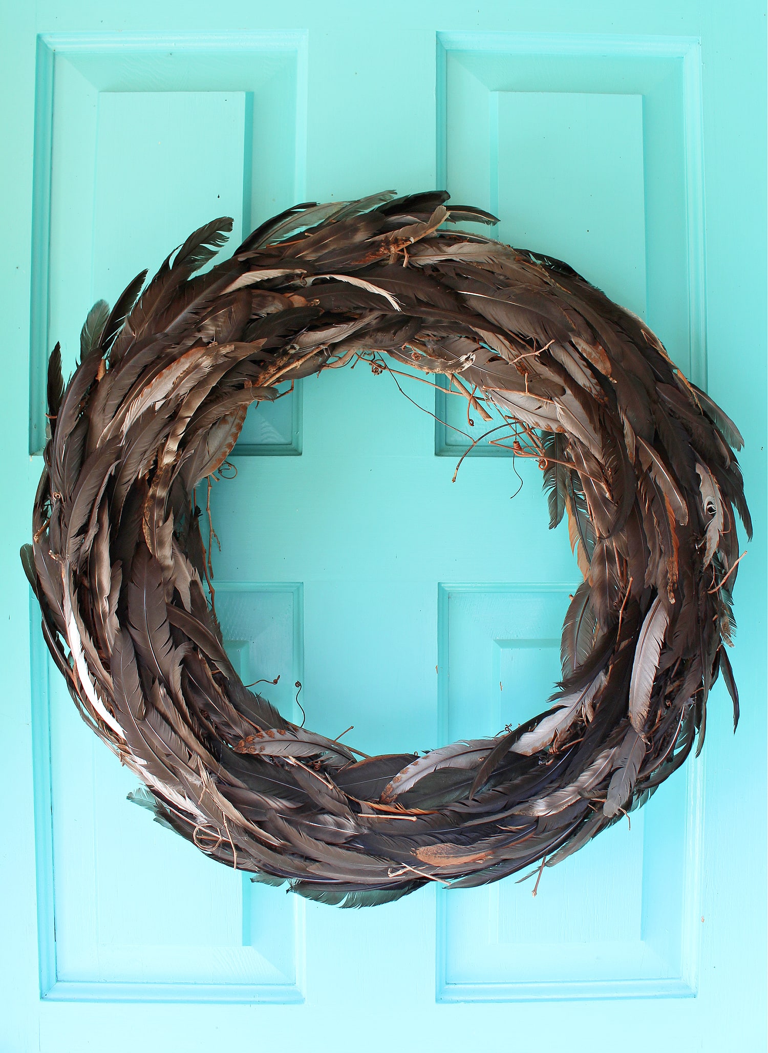 DIY Feather Wreath (Molted Chicken Feather Craft)