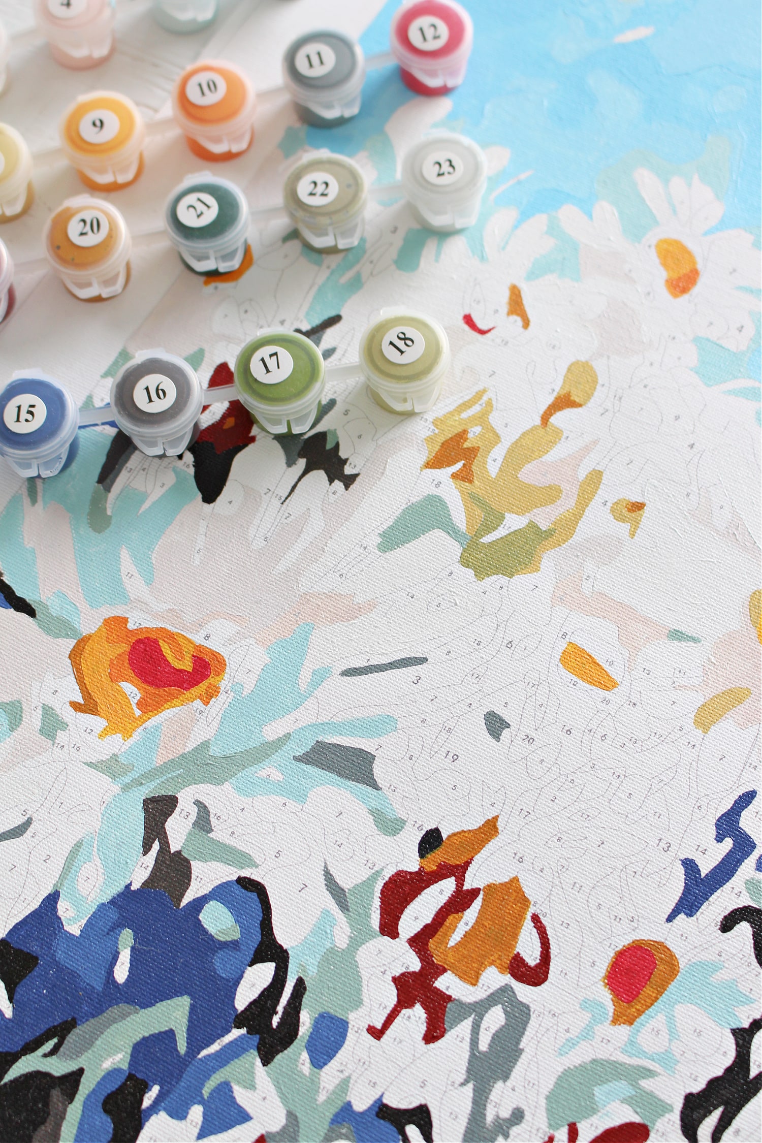 Paint by Numbers Kit for Adults