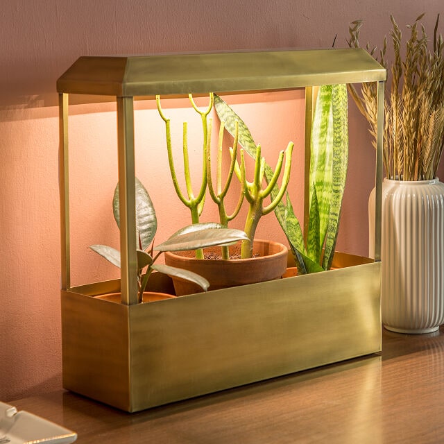 20 Gifts Ideas for Gardeners 2021