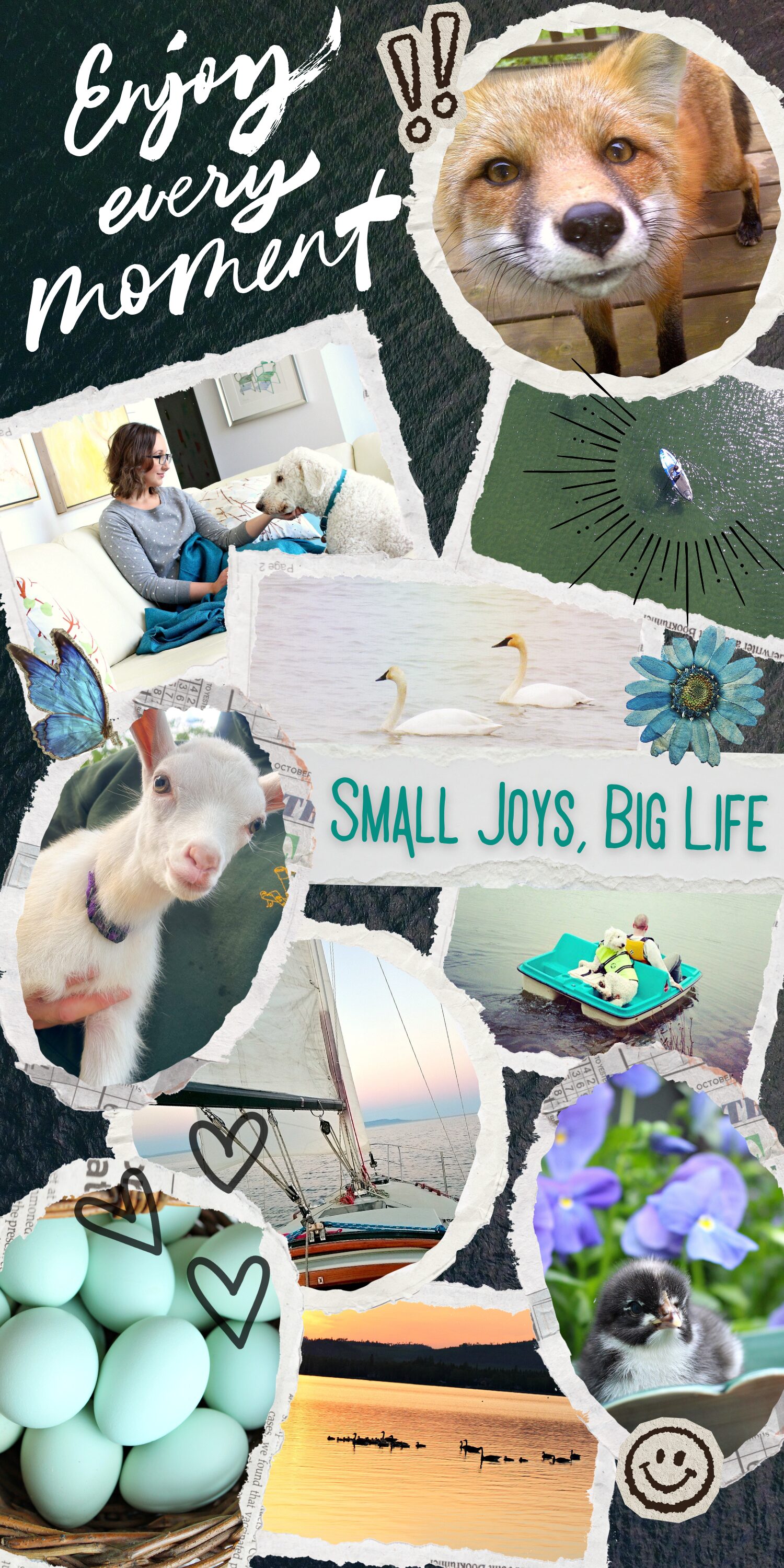 Lakeside moments from Dans le Lakehouse, from swans to foxes, goats to turquoise eggs.